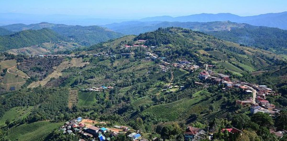 Jour 12 : Chiang Rai – Doi Mae Salong – Triangle d’Or (B)