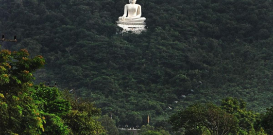 Jour 18 : Ayutthaya – Parc national de Khao Yai (B)