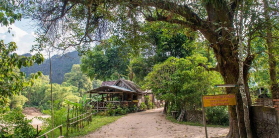Jour 23 : Vientiane – Konglor villages (B)