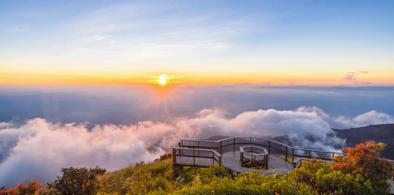 Jour 8 : Chiang Mai - Parc national Doi Inthanon (B/L/-)