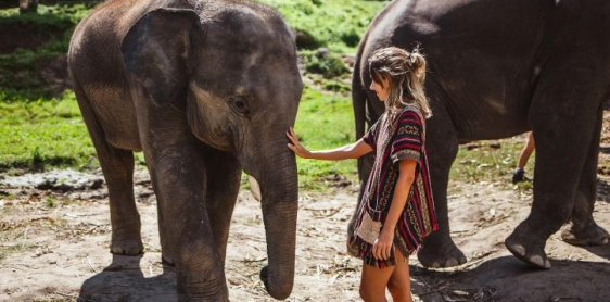 Jour 11 : Chiang Mai - Elephant Jungle Sanctuary (B, L) - En groupe