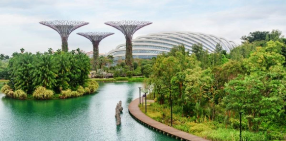 Jour 9: Singapour - Gardens by the Bay (B)