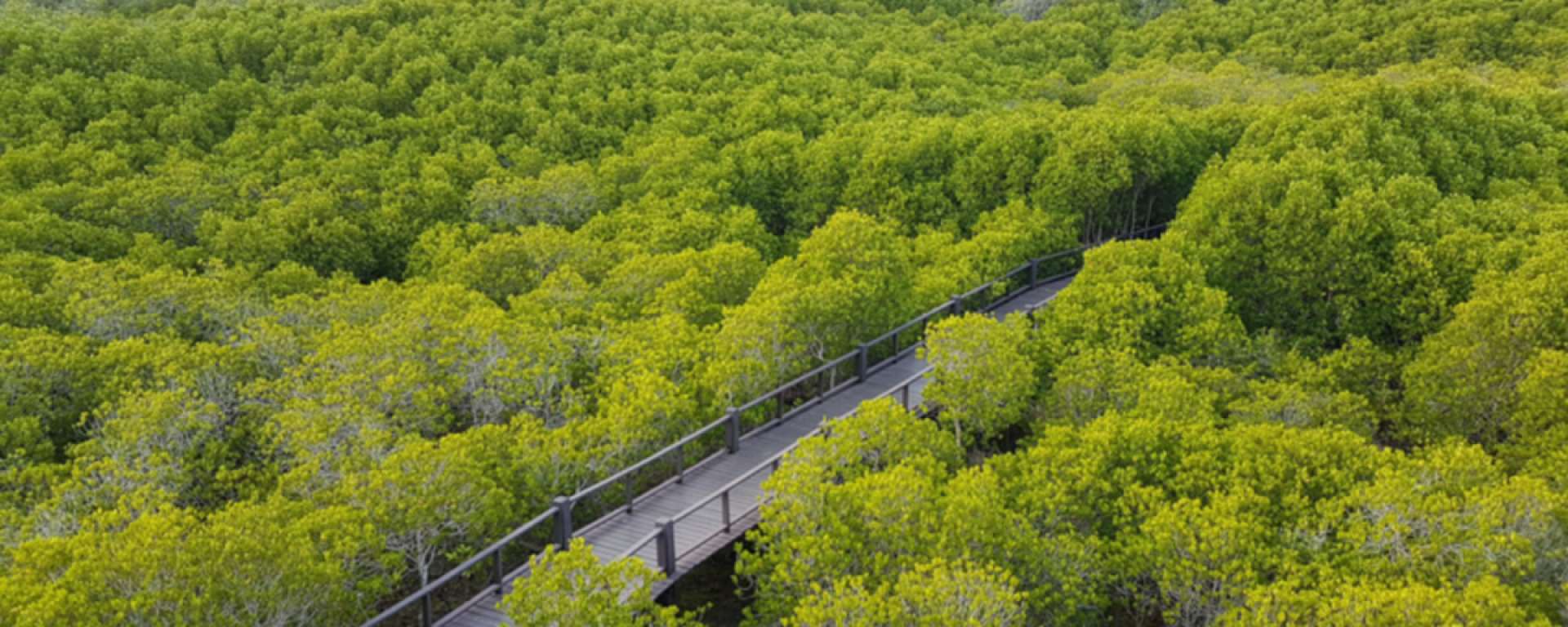Parc forestier Pranburi Forest Park