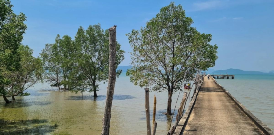 Jour 20 : Koh Yao Noi – Phuket – Vol pour Bangkok – Départ (B) Sans guide