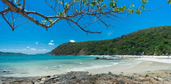 Jour 15 : Koh Samet – Bangkok – Départ (B) Sans guide