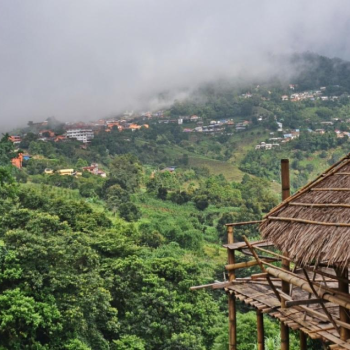 Doi Tung & Doi Mae Salong & Ethnies Minoritaires 1 jour