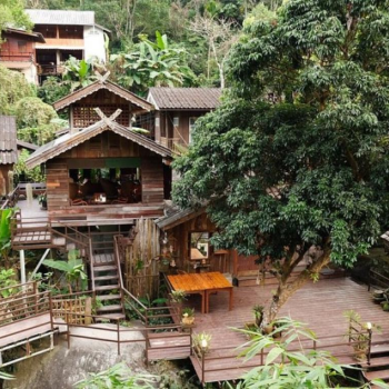 Randonnée dans la jungle de Mae Kam Pong 1 jour