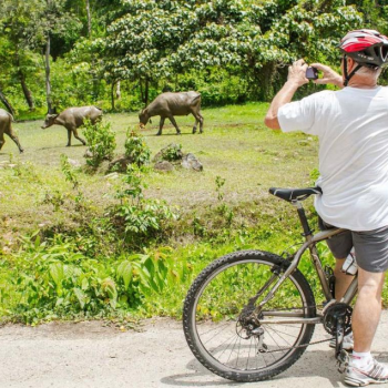 Demi-journée de balade en vélo à Chiang Rai