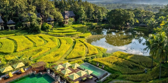 Jour 22: Chiang Mai - Vol pour Bangkok - Départ (B)