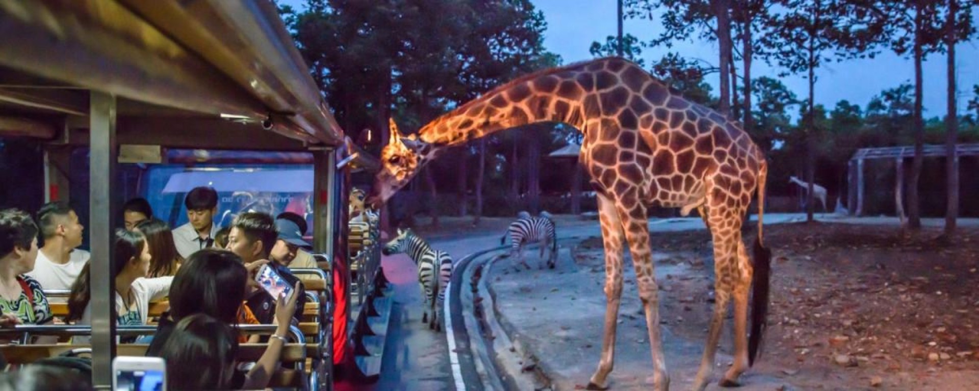 Le safari de nuit à Chiang Mai