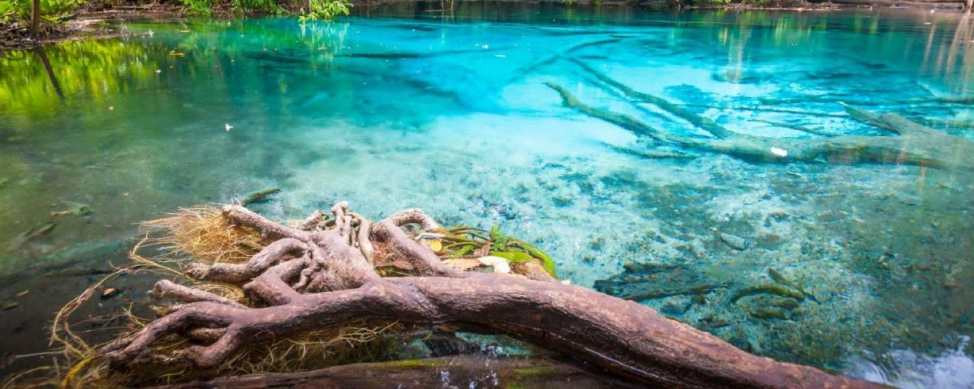 Piscine d'Emerald de Krabi