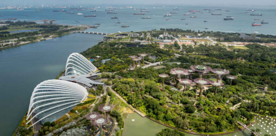Jour 1 : Arrivée à Singapour