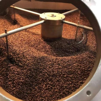 Visite de plantation et torréfaction de café de Nan 1 jour