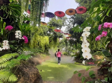 Top 12 meilleurs cafés à Chiang Rai