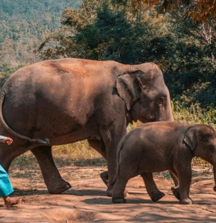 Top 4 meilleurs choses à faire à Chiang Mai