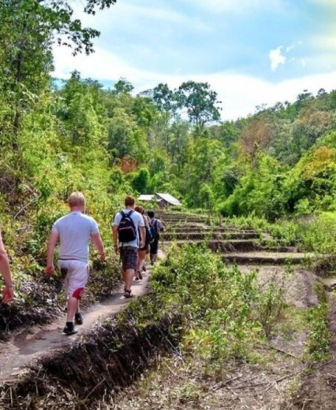 Meilleurs endroits pour faire la randonnée à Chiang Mai