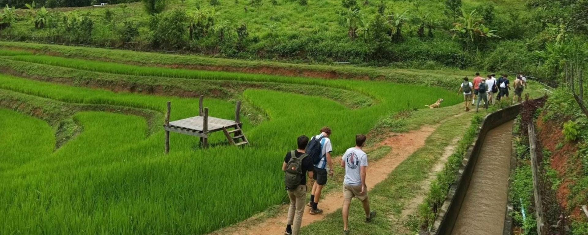 Meilleurs endroits pour faire la randonnée à Chiang Mai