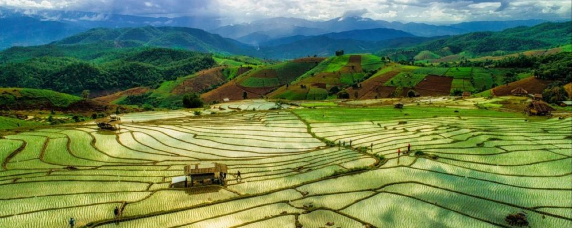 Chiang Mai