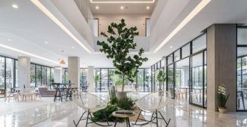 TREE TARA HOTEL LAMPANG