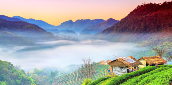 Jour 8 : Chiang Dao – Doi Angkhang – Thaton (B)