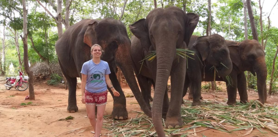 Jour 10 : Chiang Mai – Camp d’élephant – Train de nuit pour Bangkok (B, L) Tour collectif avec guide anglophone