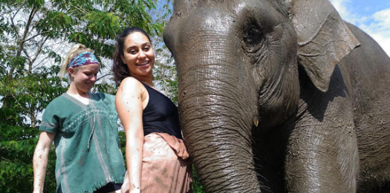 Jour 8 : Chiang Mai – Camp d’éléphants – Radeau de bambou (B, L)