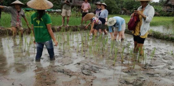 Jour 17 : Luang Prabang – Living Land Farm et Ses environs (B/L)