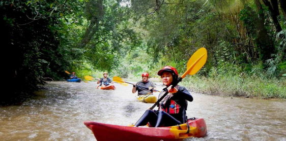 Une journée : Kayaking dans la jungle et visite de grotte de Chiang Dao