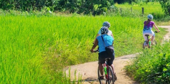 Journée de balade en vélo à la campagne de Chiang Mai