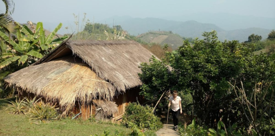 Jour 3 : Randonnée de Sommet de la rizière en terresse au village de Karen - Chiang Rai (B,L)