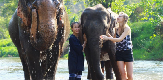 Jour 9 : Chiang Mai – Elephant Jungle Sanctuary (Tour collectif) – Chiang Rai (B, L)