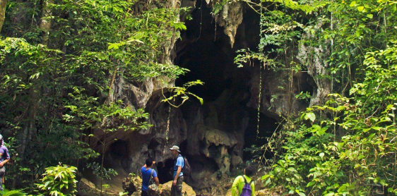 Jour 8 : Khao Sok – Randonnée (B/L) Tour collectif