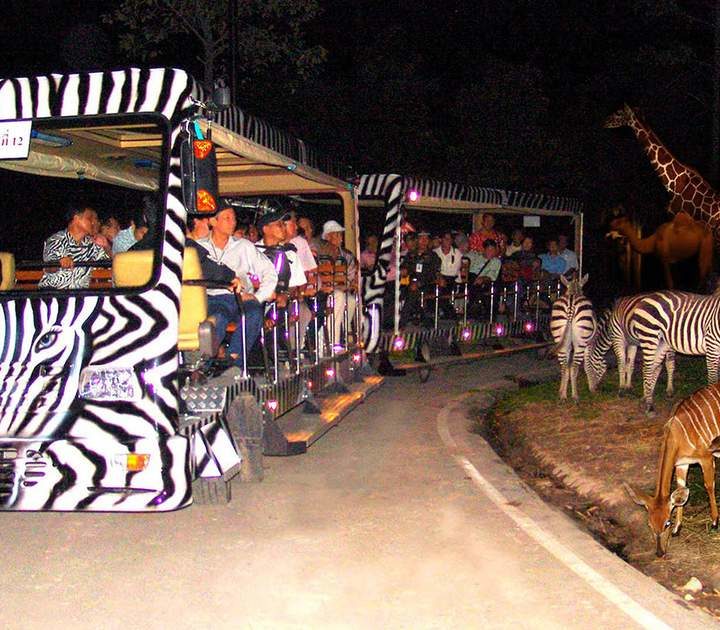 safari-de-nuit-a-chiang-mai