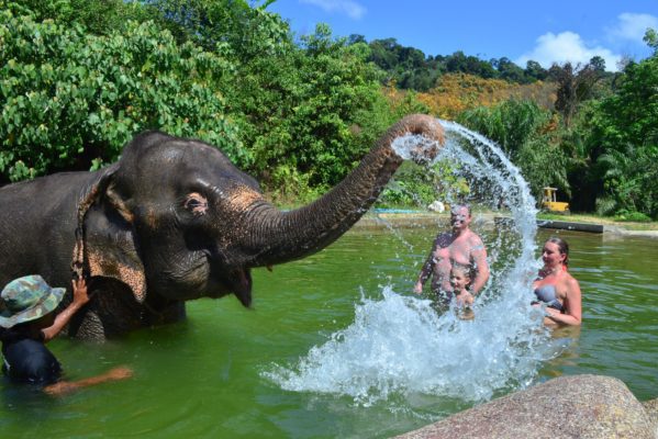 Randonnee-au-parc-national-de-Khao-Sok