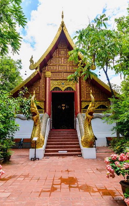 Temples de Chiang Rai et Rivière de Mae Kok 1 jour