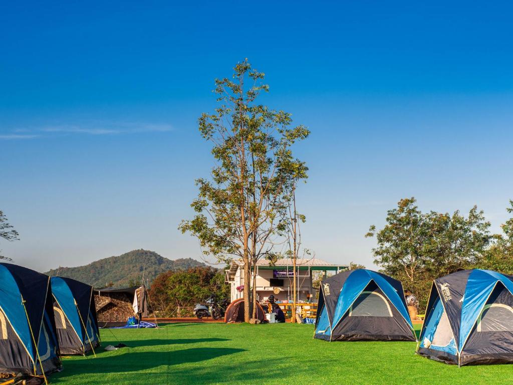 campings dans le parc de Khao Yai