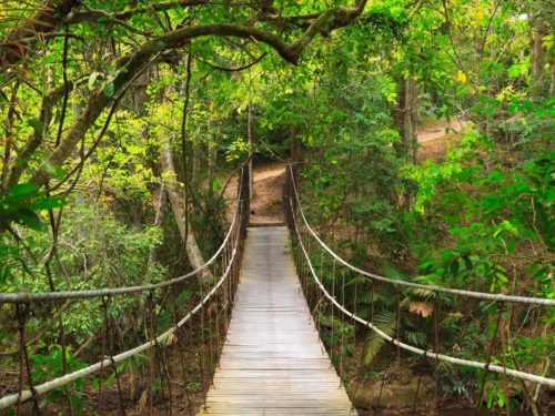 Sentiers du parc national de Khao Yai