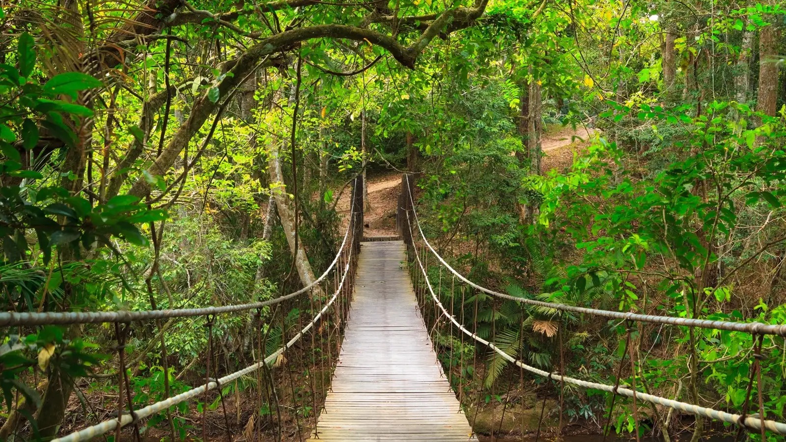 sentier-khao-yai