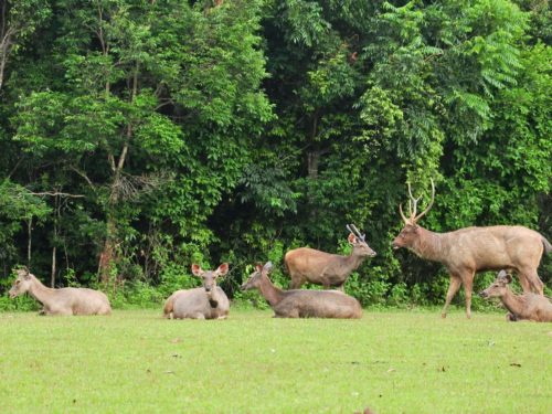 Meilleurs circuits au Khao Yai