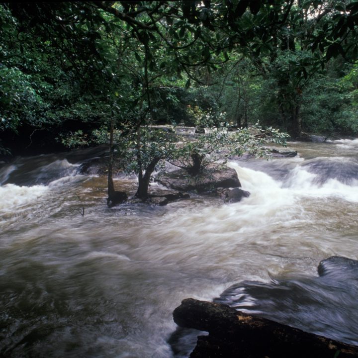 meilleurs-cascades-au-parc-de-Khao-Yai-4