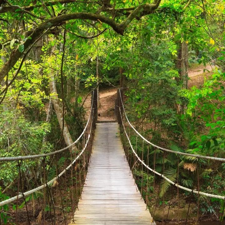 sensiers-du-parc-national-khao-yai