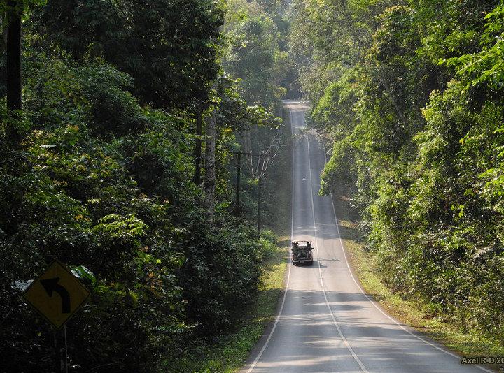 meilleurs-endroits-a-visiter-en-thailande-khao-yai