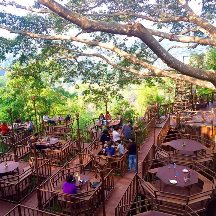 Meilleurs cafés à Chiang Mai - The Giant Chaingmai