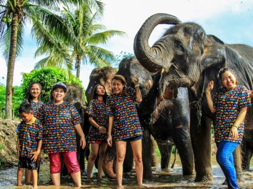 Top 10 meilleurs sanctuaires d’éléphant à Chiang Mai