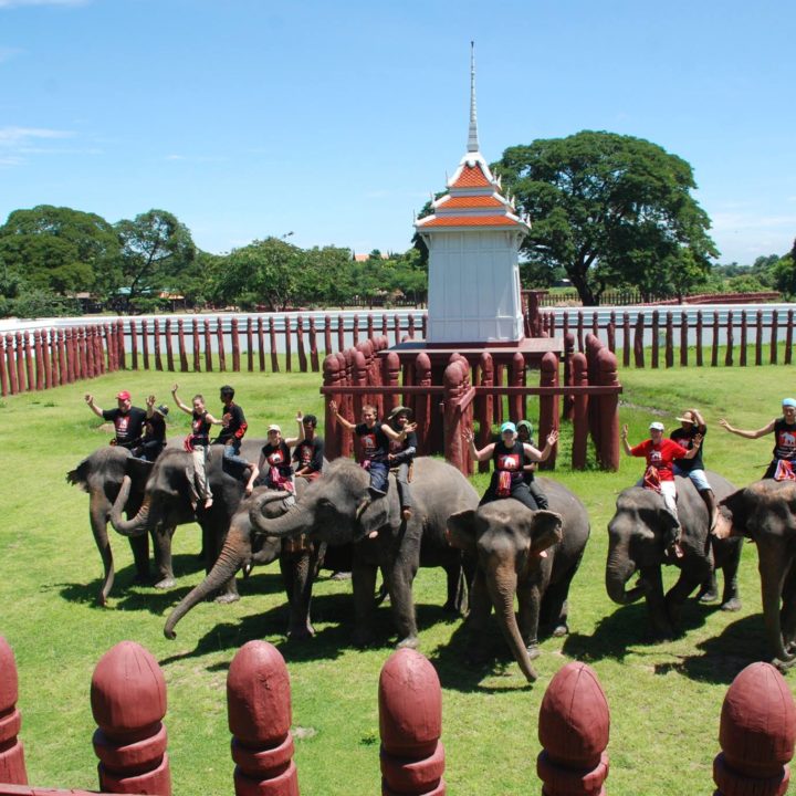 Meilleures-attractions-a-voir-a-Ayutthaya-Sejour-elephant