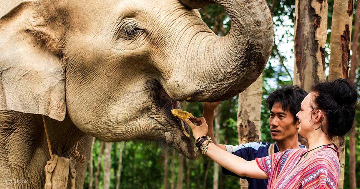 Escapade-culturelle-en-Thaïlande-et-au-Laos-jour-10