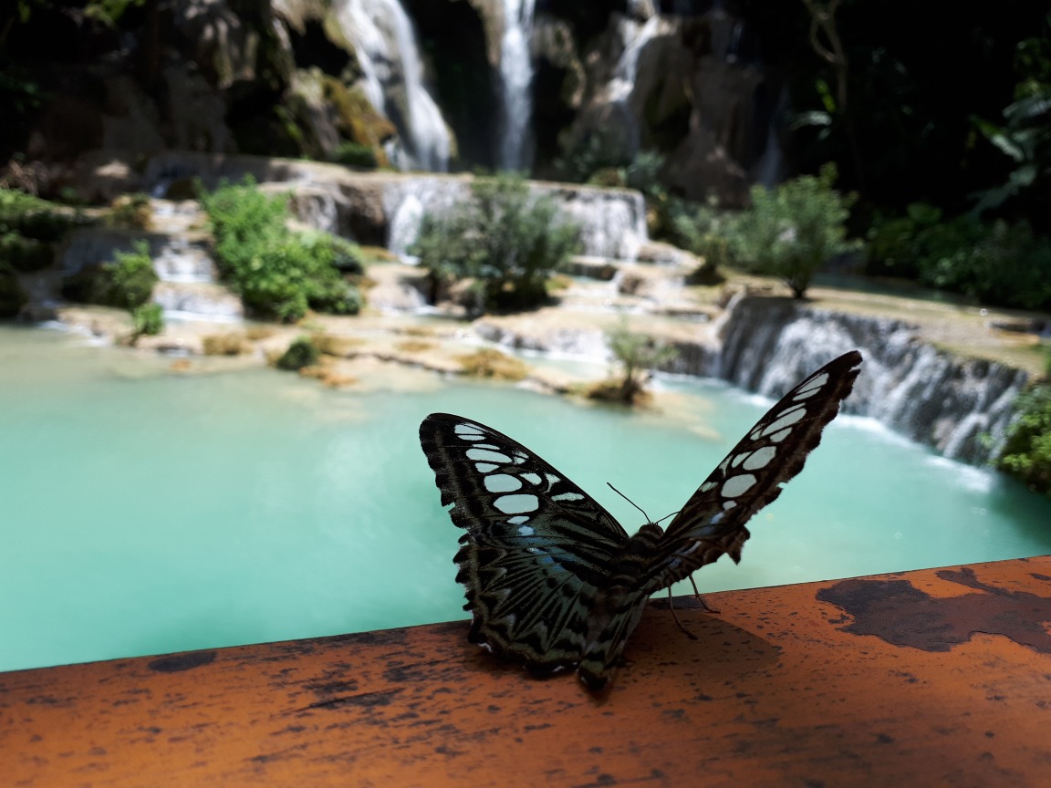 Escapade-combinee-en-Thaïlande-et-au-Laos-jour-19